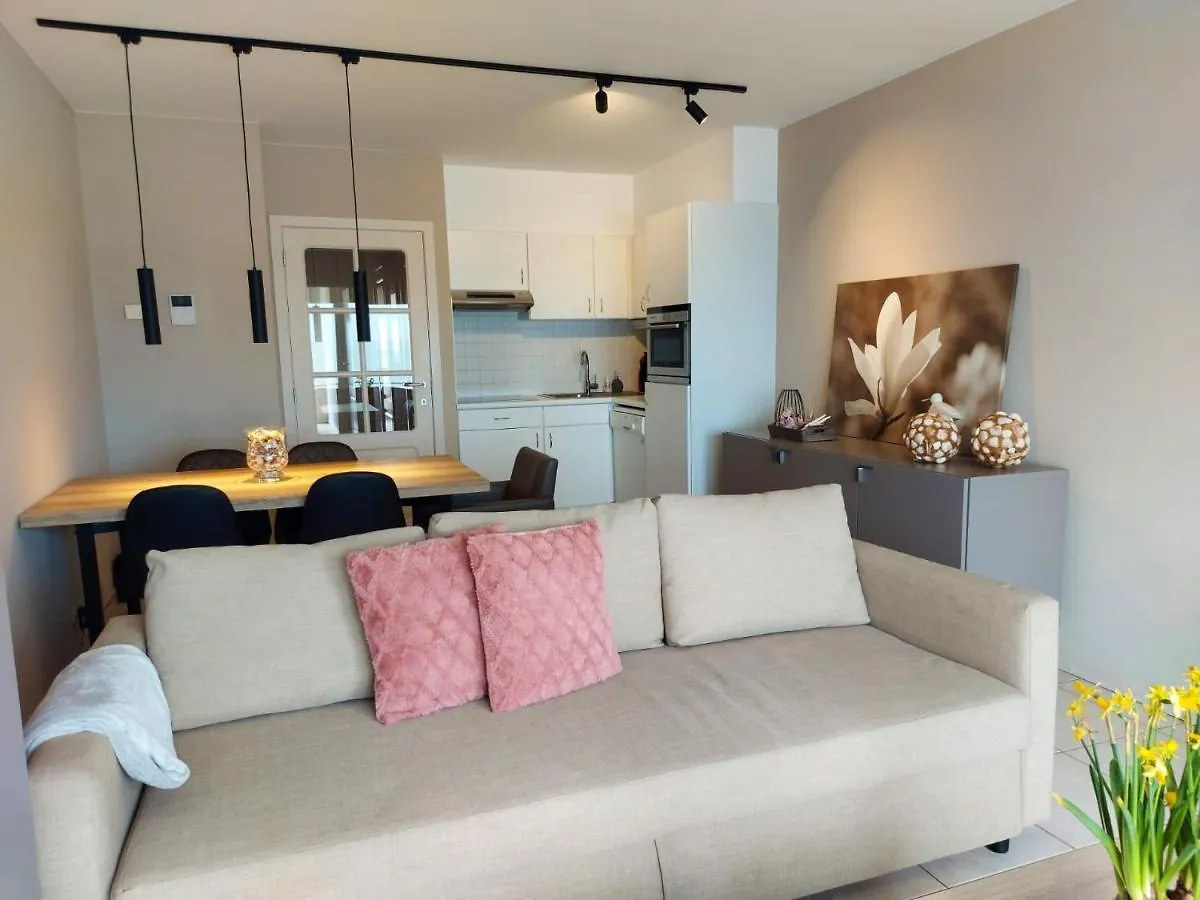 Appartement met zeezicht en verwarmd zwembad Ostende Belgien
