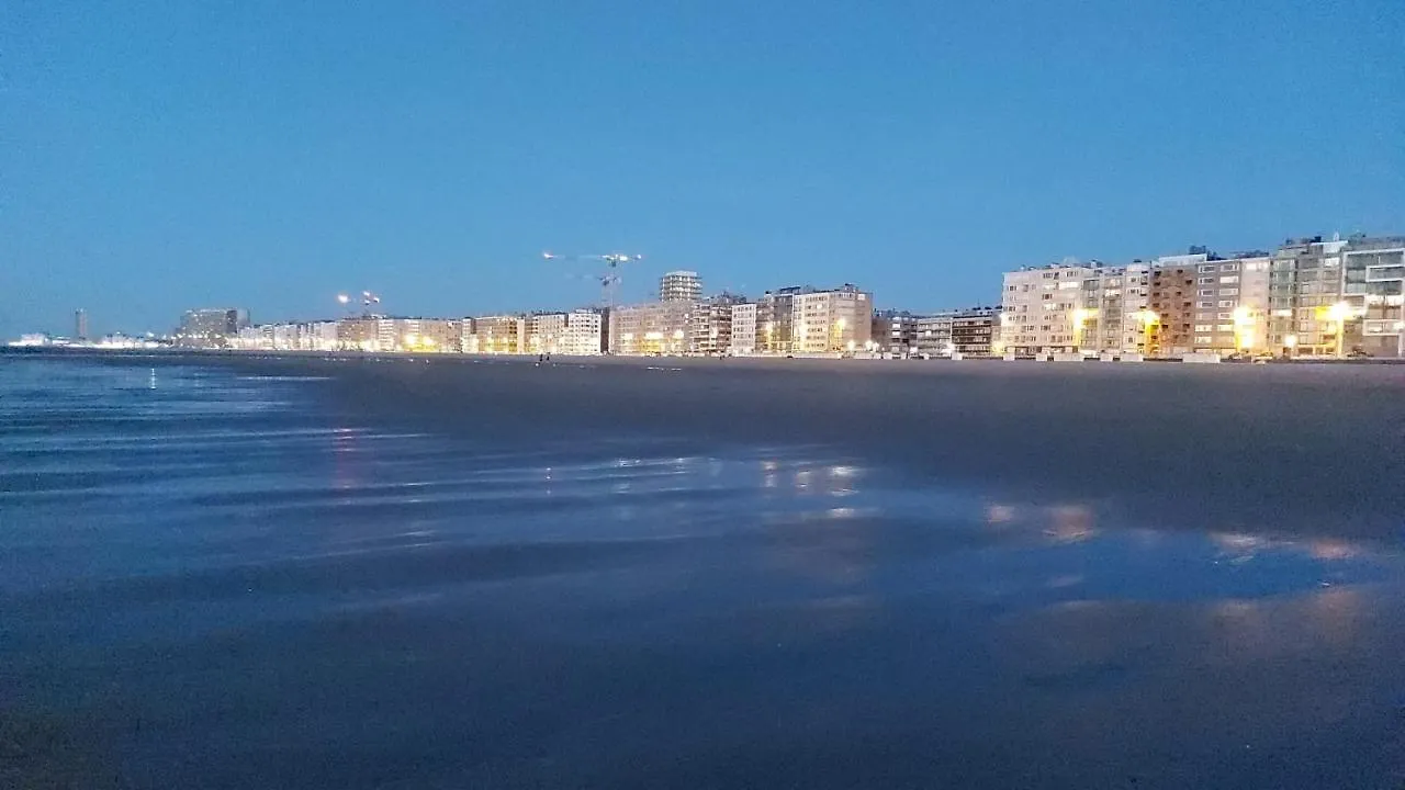 Appartement met zeezicht en verwarmd zwembad Ostende Apartment
