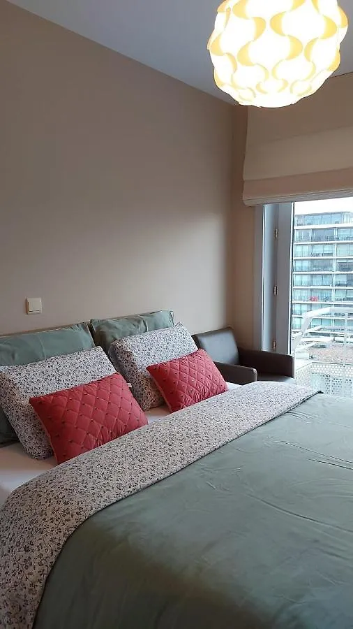 Appartement met zeezicht en verwarmd zwembad Ostende Apartment